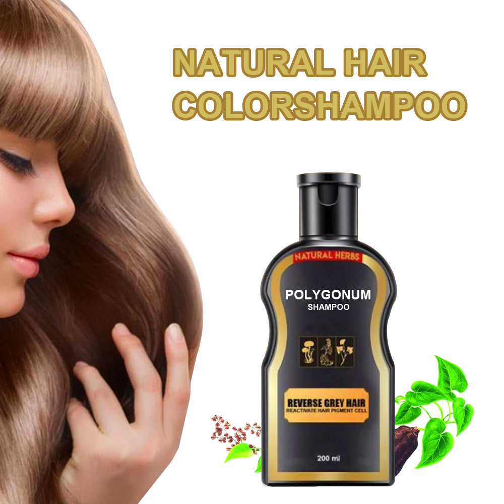 Polygonum Shampoo - Natural Herbs Formula for Reversing Grey Hair and Restoring Hair Pigment