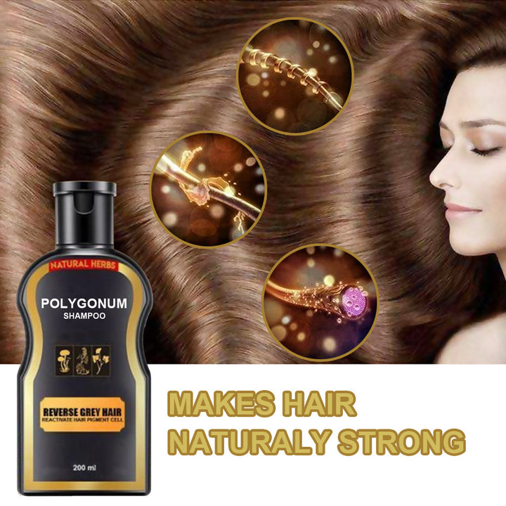 Polygonum Shampoo - Natural Herbs Formula for Reversing Grey Hair and Restoring Hair Pigment